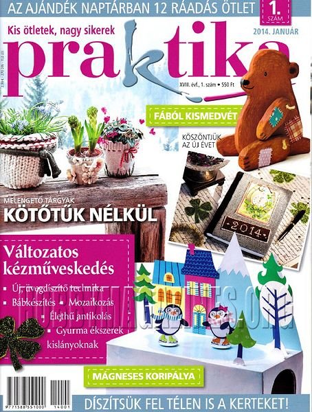 Praktika - Januar 2014