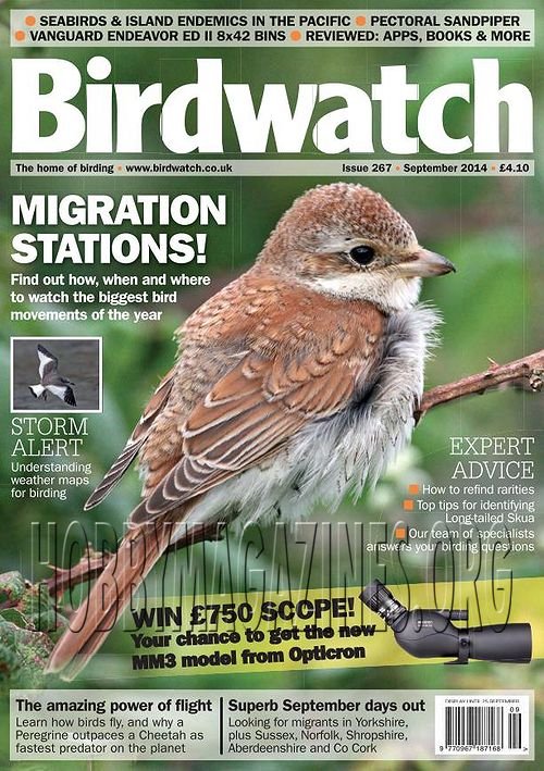 Birdwatch - September 2014