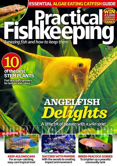 Practical Fishkeeping – January 2015