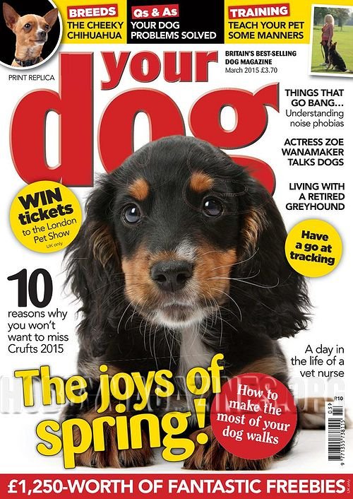 Your Dog - March 2015