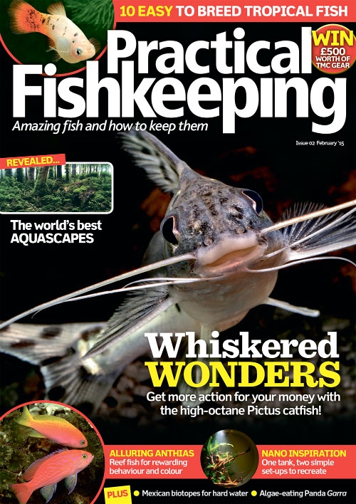 Practical Fishkeeping – February 2015