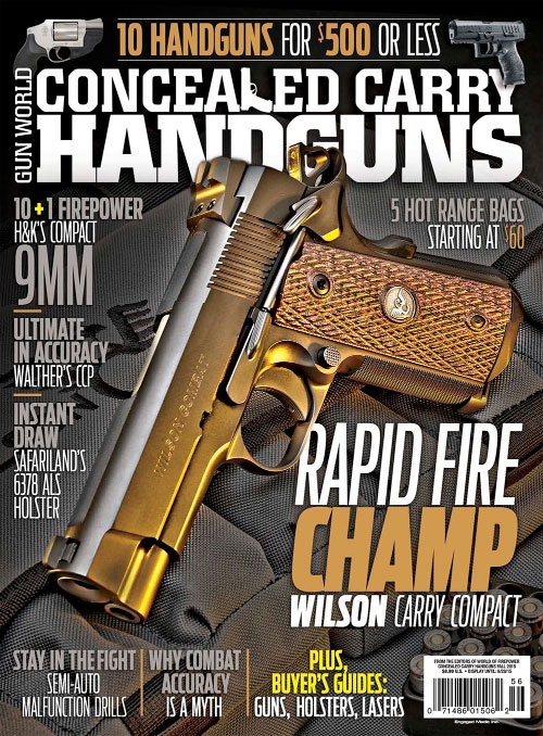 Conceal and Carry Handguns - Fall 2015