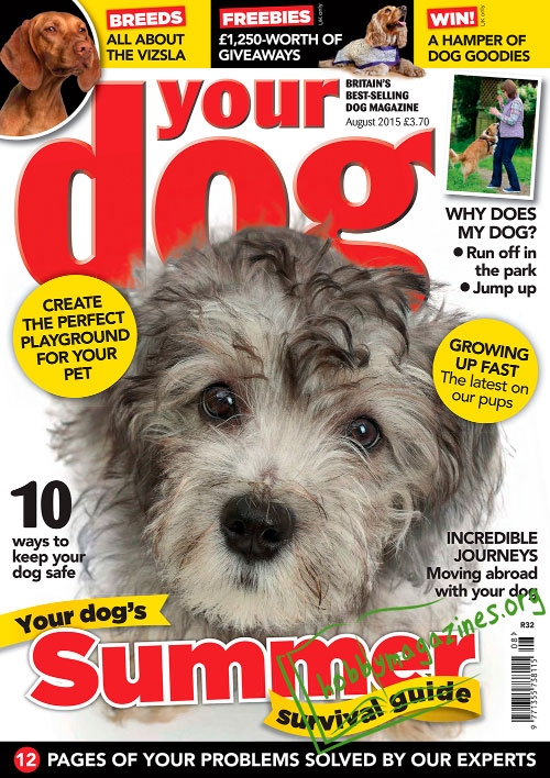 Your Dog - August 2015