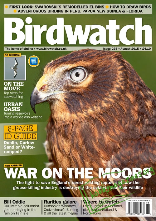 Birdwatch - August 2015