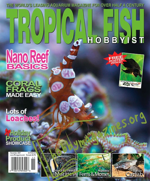 Tropical Fish Hobbyist - November 2007