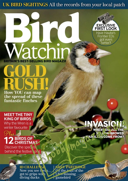 Bird Watching – December 2015