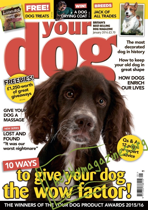 Your Dog - January 2016