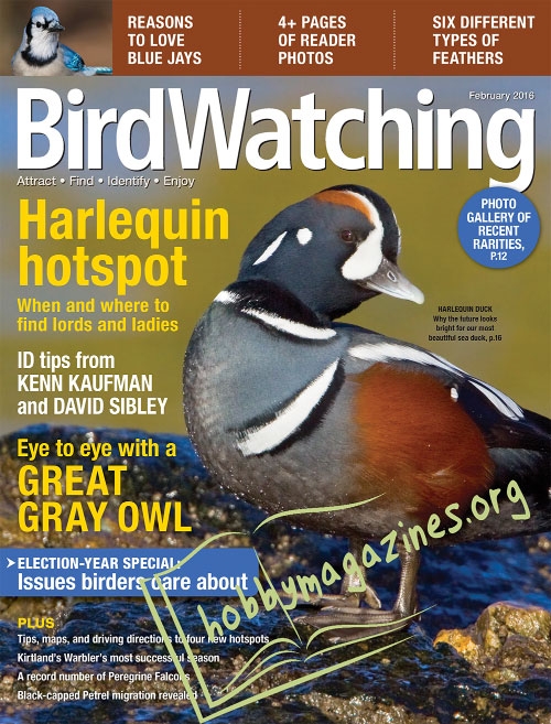 BirdWatching - January/February 2016