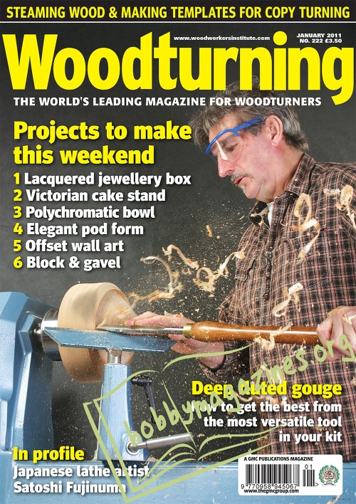 Woodturning - January 2011