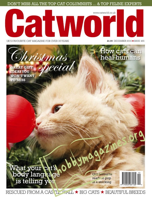 Cat World – December 2016