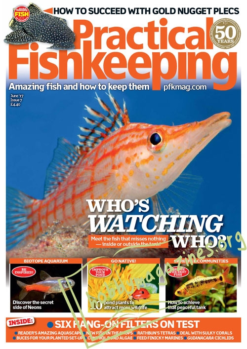 Practical Fishkeeping – June 2017