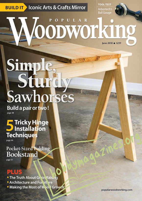 Popular Woodworking 239 - June 2018