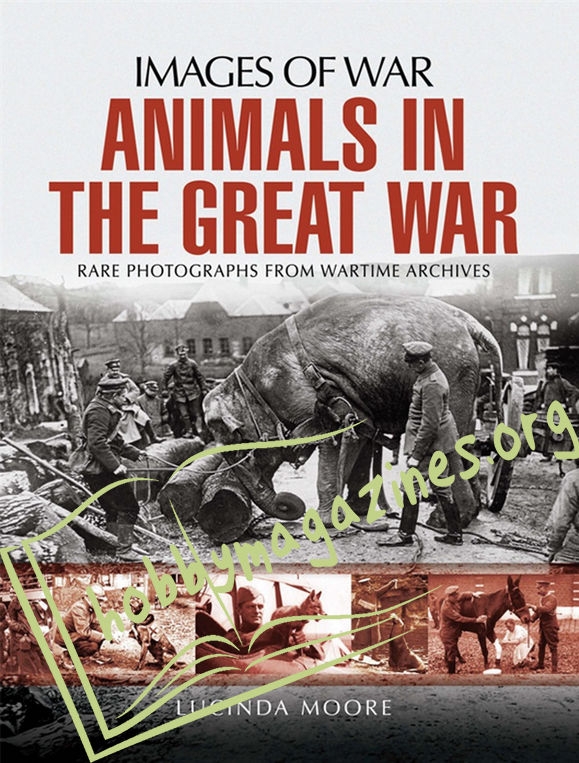 Images of War: Animals in the Great War