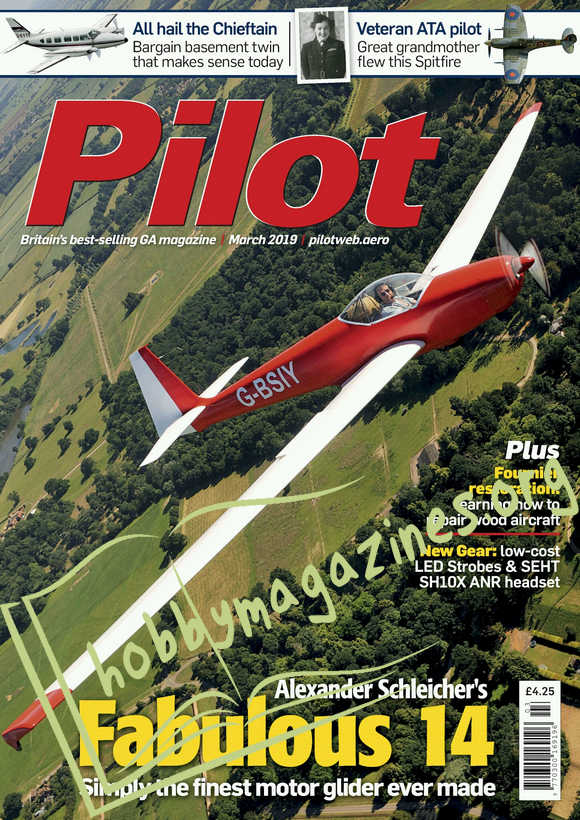 Pilot - March 2019