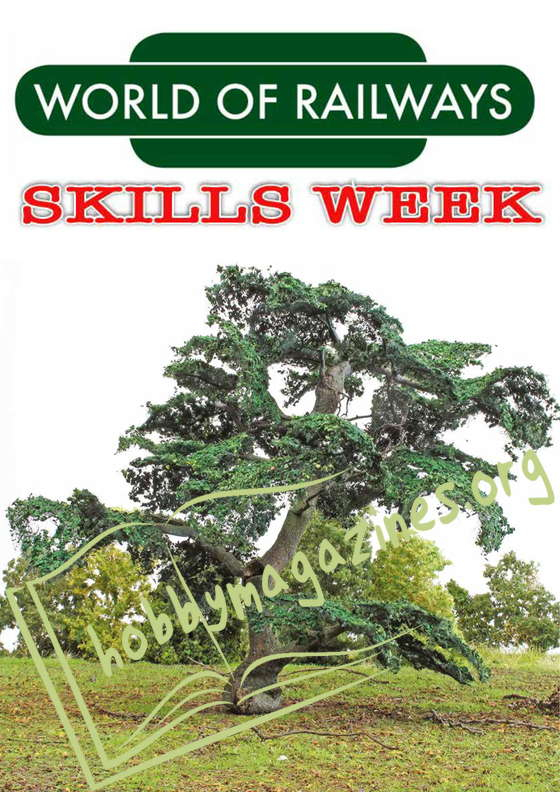 Skills Week 