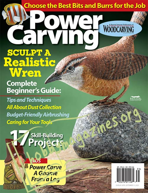 Woodcarving Illustrated Special - Power Carving